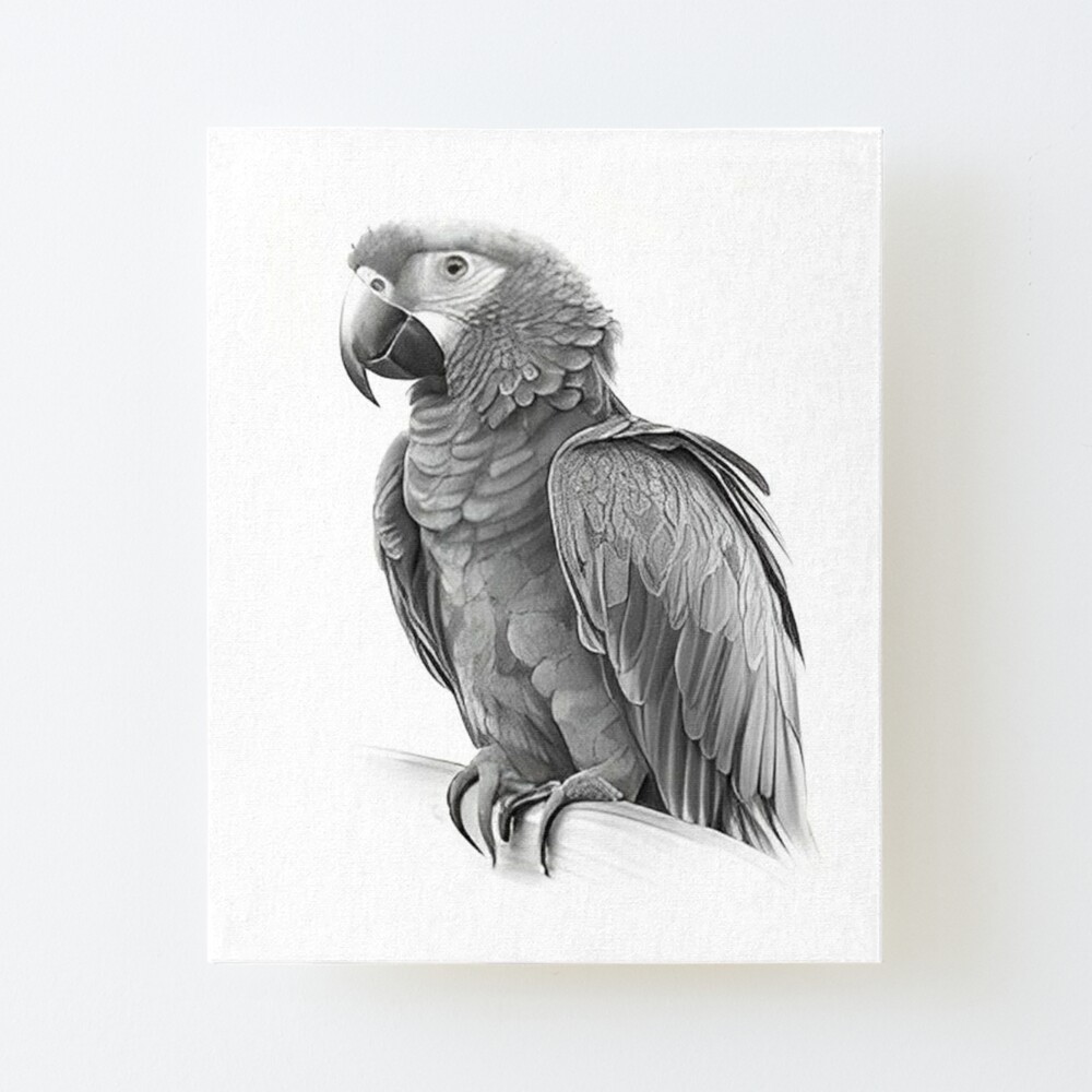 Original artwork parrot black sketch drawing bird Vector Image