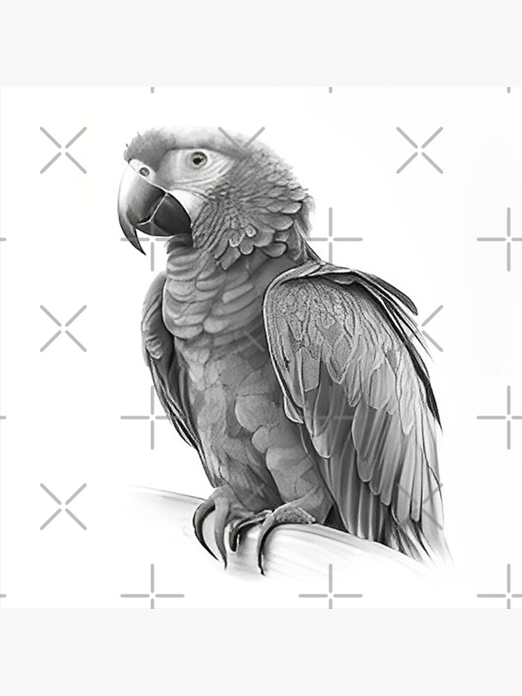 Parrot Drawing Images - Free Download on Freepik