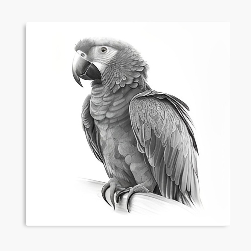 Details 152+ realistic parrot drawing latest