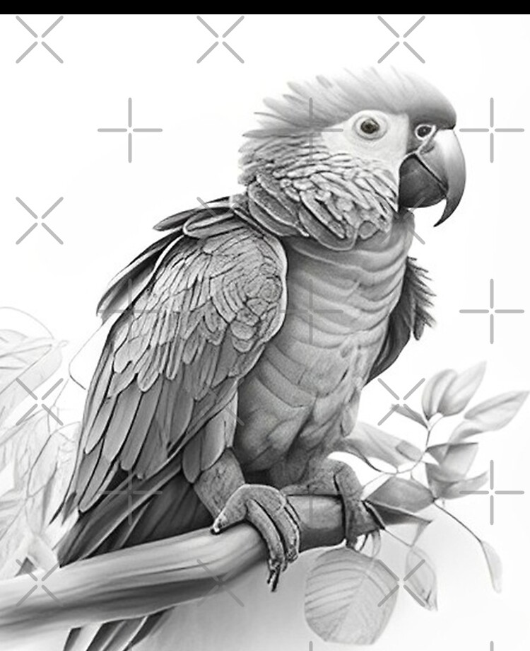 Indian Ringneck Parrot Drawing & Pencil Sketch JPG | Pencil drawings of  animals, Pencil drawing pictures, Still life drawing