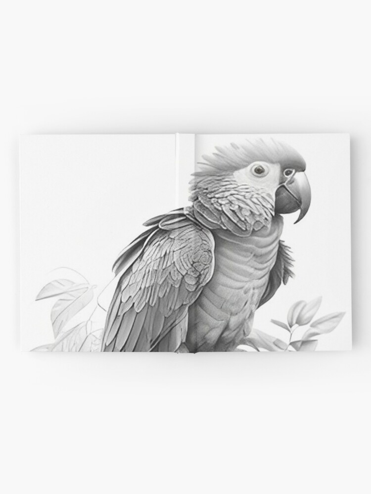 Drawitbetter Contest #7 - Parrot - Colored Pencil Drawing | PeakD
