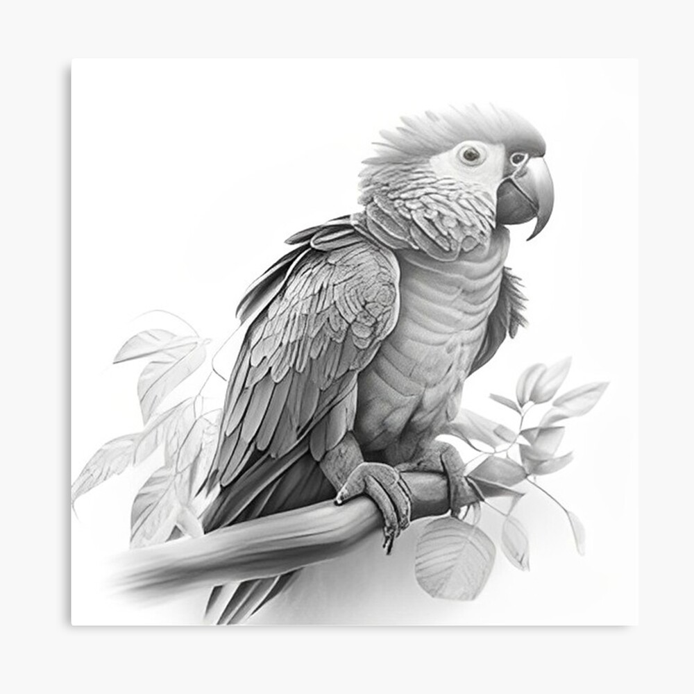 Parrot: Over 124,498 Royalty-Free Licensable Stock Illustrations & Drawings  | Shutterstock