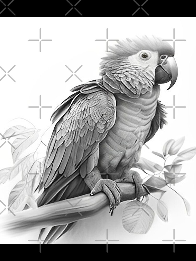 The Painted Parrot - Drawings | Bird drawings, Parrot drawing, Art sketches
