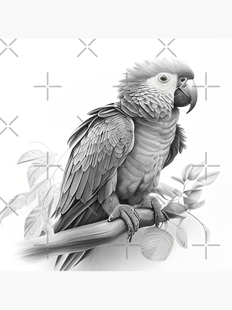 Monochrome Parrot Isolated On Gray Background. Hand Drawing Sketch Detailed Pencil  Drawing Stock Photo, Picture and Royalty Free Image. Image 141548758.
