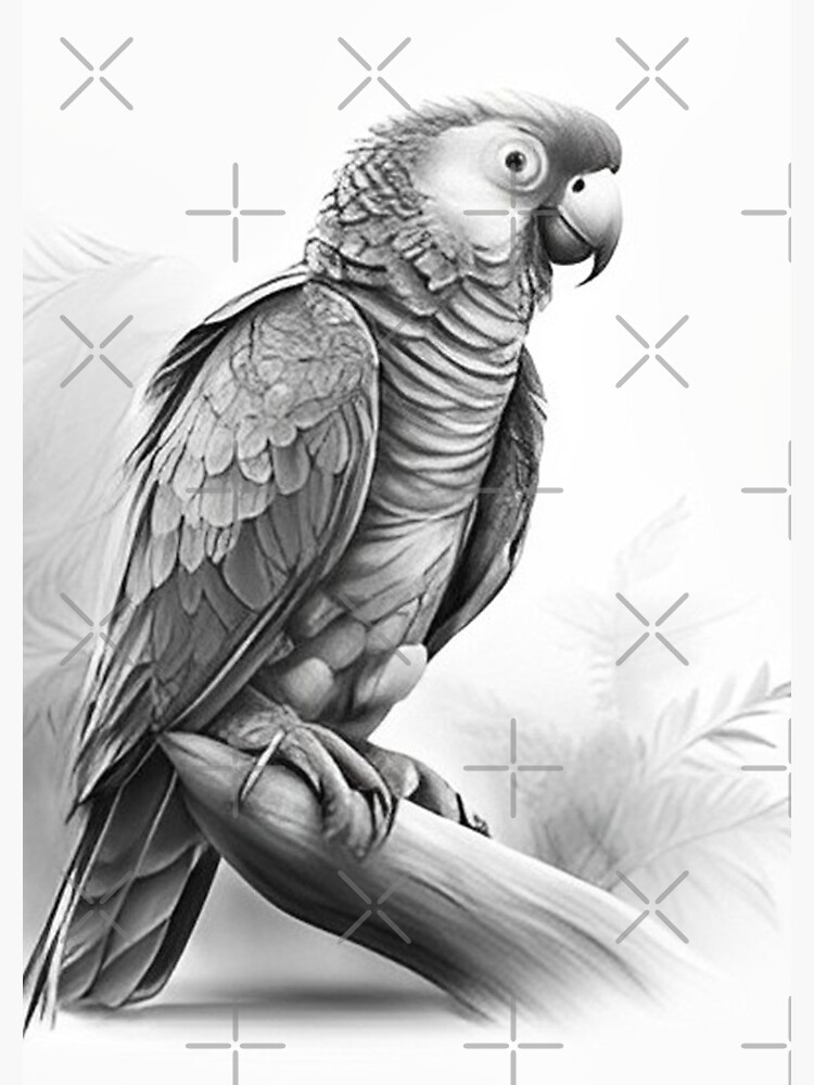 Parrot Bird Stencil Drawing, parrot illustration transparent background PNG  clipart | HiClipart