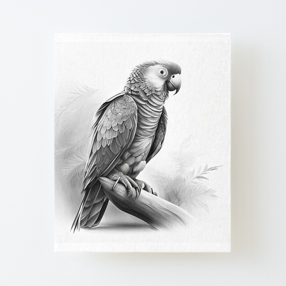 Buy Macaw Parrot Pencil Drawing Wall Art, Printable Parrot Drawing, Pet  Macaw Parrot Bird Sketch, Ornithology 3531 INSTANT DOWNLOAD Online in India  - Etsy