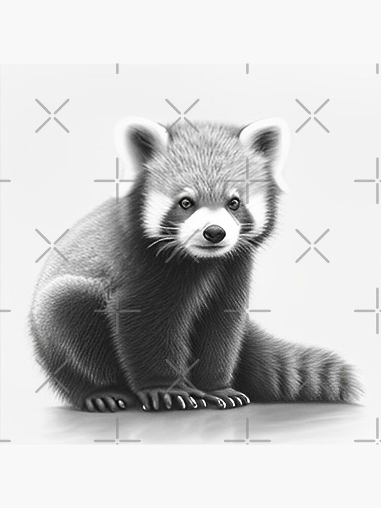 Black and white Red Panda pencil drawing Art Board Print