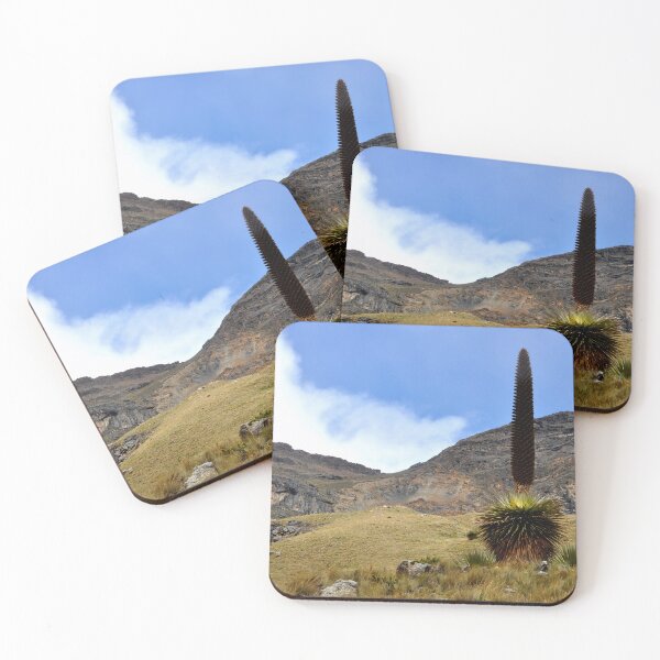 Item preview, Peru - Huaraz - Puya Raymondii designed and sold by franck380.