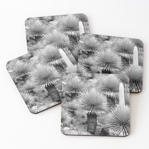 Item preview, Peru - Huaraz - Puya Raymondii designed and sold by franck380.