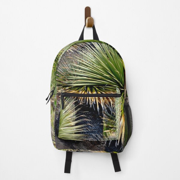 Item preview, Peru - Huaraz - Puya Raymondii designed and sold by franck380.