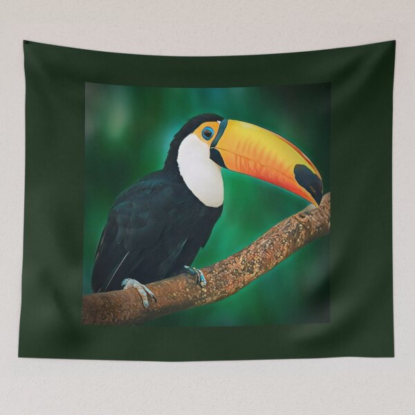 Item preview, Nature Lover Toucan Art Print - For a nature lover, for a toucan lover, for a bird lover. designed and sold by Wentoo.