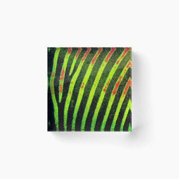 Artikelvorschau, Elektrische Zebrastreifen in Neon Lime entworfen und verkauft von WildArtDesigns.