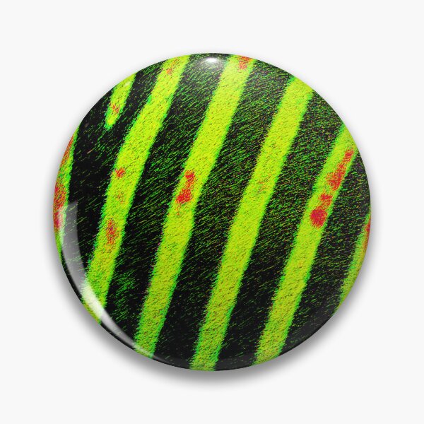 Artikelvorschau, Elektrische Zebrastreifen in Neon Lime entworfen und verkauft von WildArtDesigns.