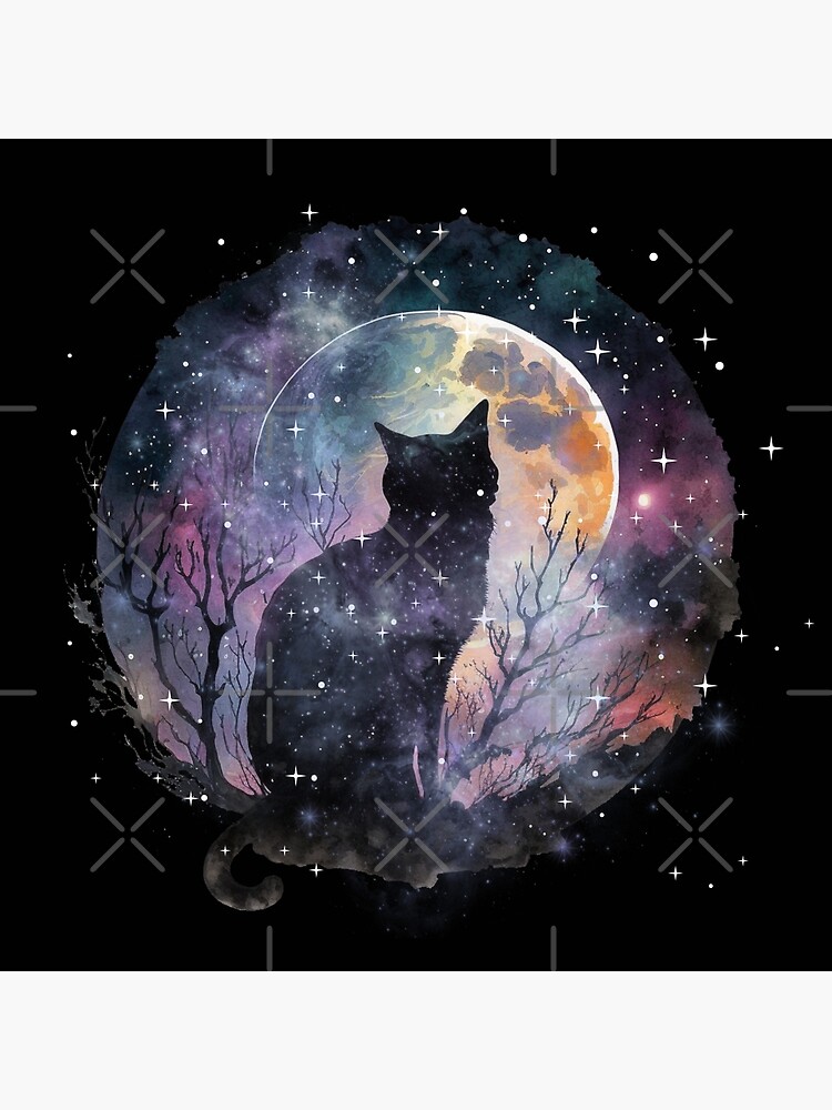 Black Cat Galaxy, Moon and Night Sky