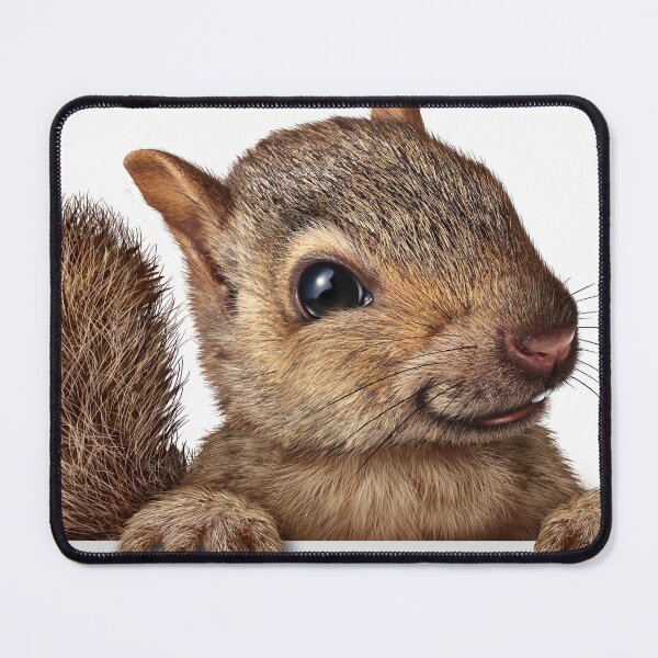 Item preview, Cute Squirrel Portrait Print - For a squirrel lover, for a nature lover, decorating squirrel print. designed and sold by Wentoo.
