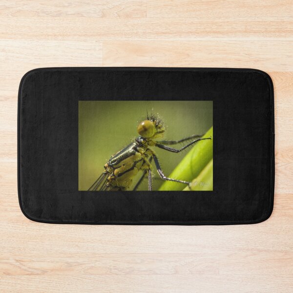 Item preview, The insect designed and sold by Manfred  Marquard.