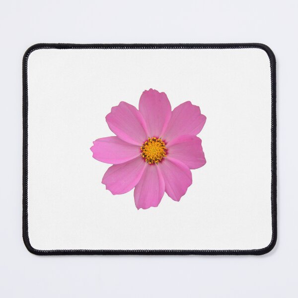 Item preview, A bunch of bright cosmos flowers designed and sold by kyoungwon Woo.