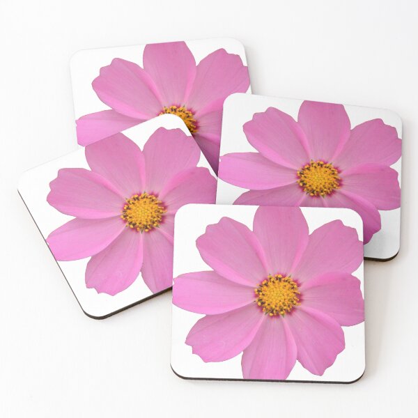 Item preview, A bunch of bright cosmos flowers designed and sold by kyoungwon Woo.