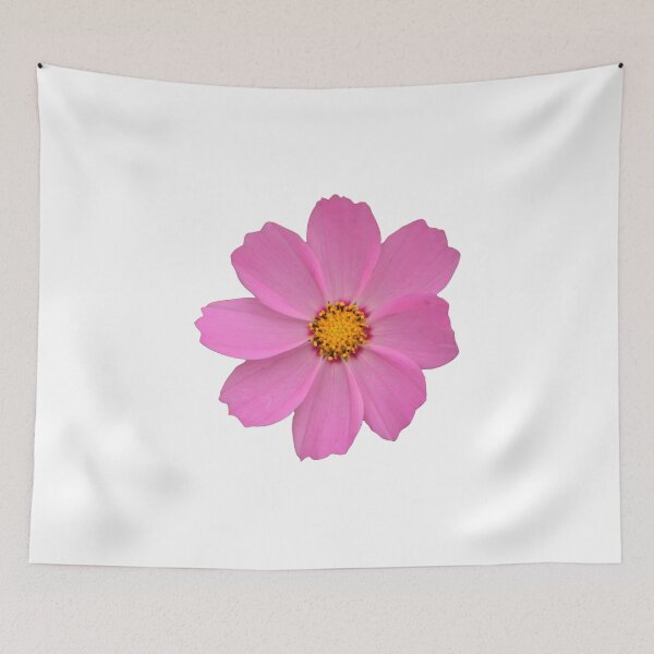 Item preview, A bunch of bright cosmos flowers designed and sold by kyoungwon Woo.