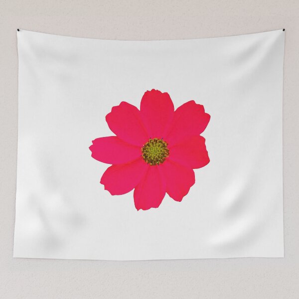 Item preview, A bunch of red cosmos flowers designed and sold by kyoungwon Woo.