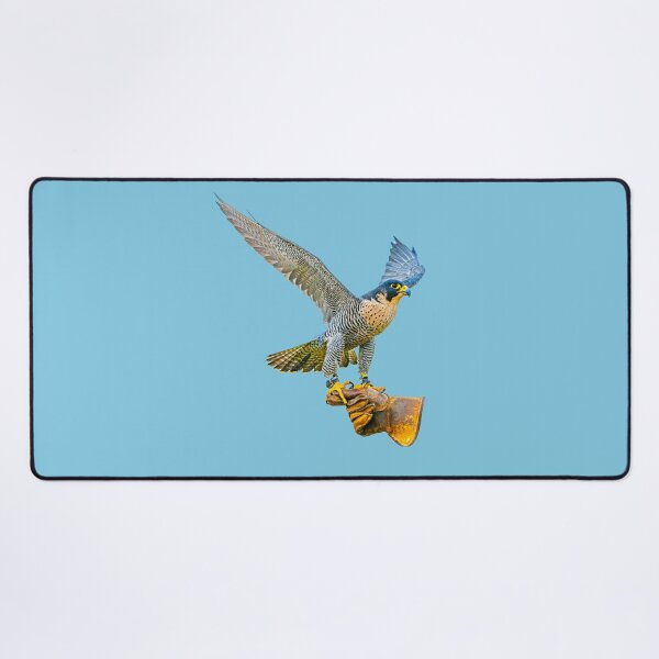 Item preview, Peregrine on falconry glove designed and sold by Dalyndigital Photography.