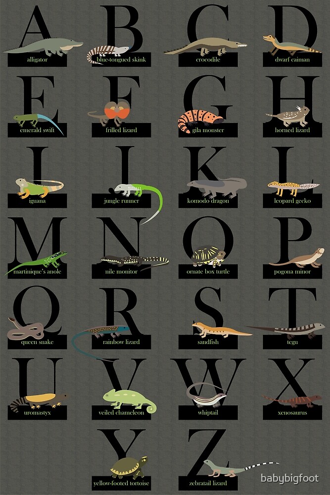 "Reptiles Alphabet" By Babybigfoot | Redbubble