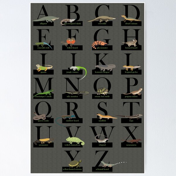 Item preview, Reptiles Alphabet designed and sold by babybigfoot.