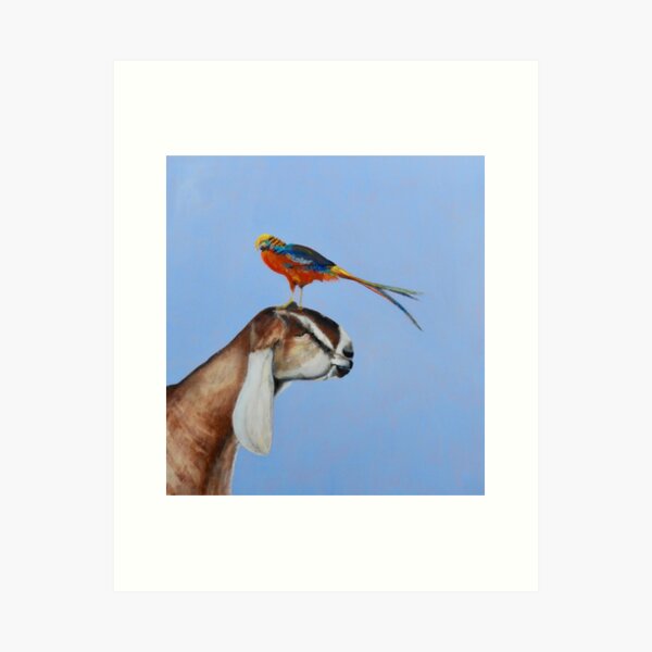 Pheasantgoat Art Print