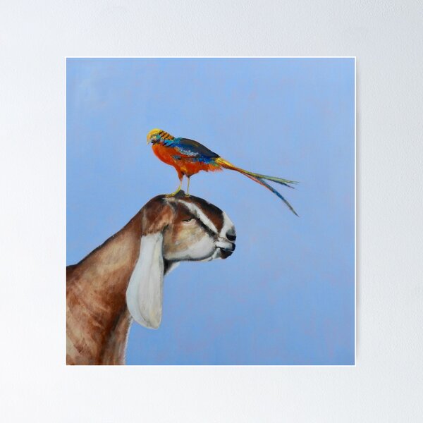 Item preview, Pheasantgoat  designed and sold by Edith Dora Rey.
