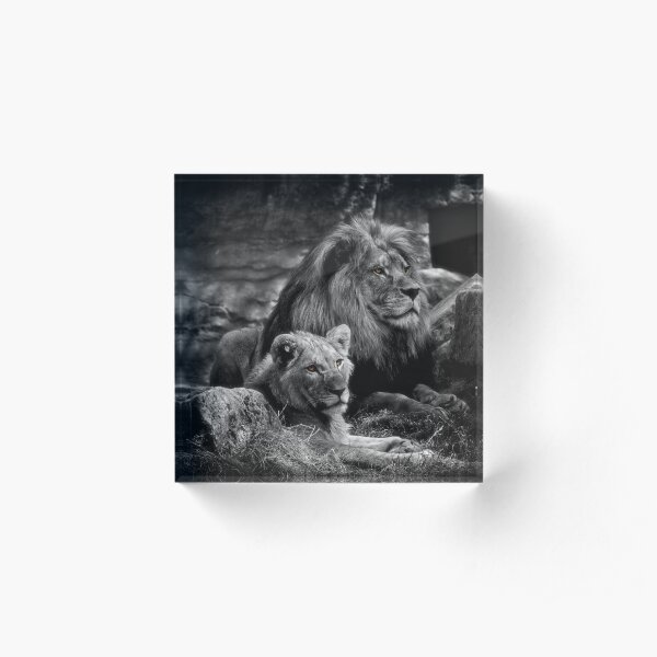 Lions Acrylic Block