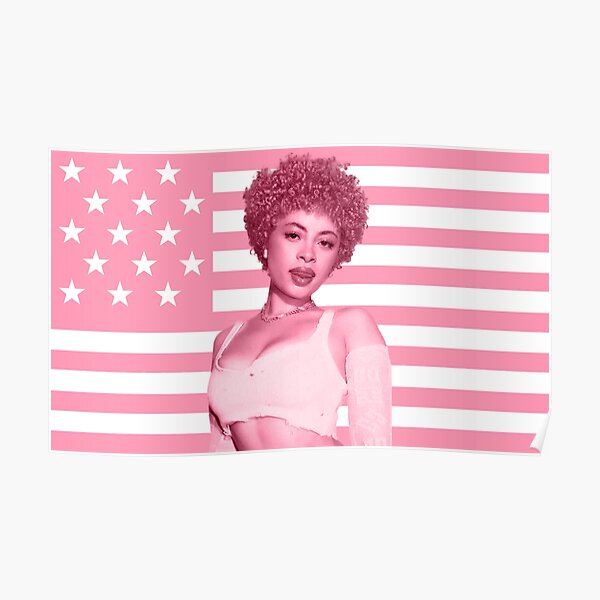 Ice Spice Pink American Flag Poster Poster