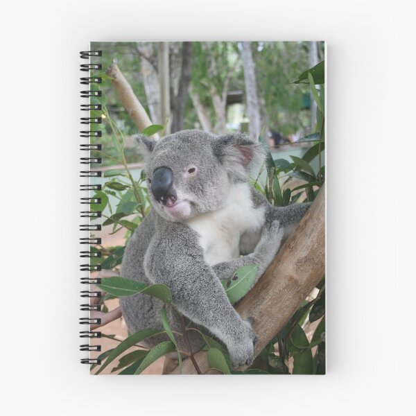 Item preview, Koala designed and sold by clphoto-aust.