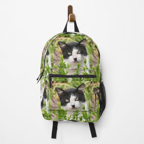 Item preview, r-97/ New finition 2023: " Mes Adorable Chats " Okaio-Umin Créations Olavia-Olao designed and sold by o.okaïo.