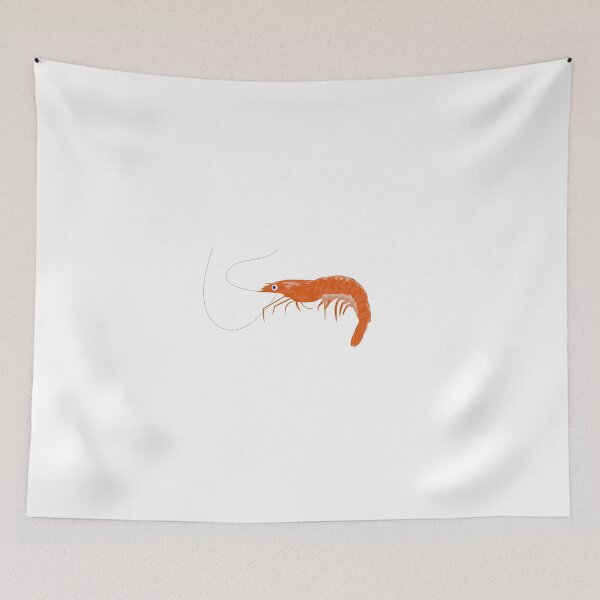 Item preview, Curious Shrimp designed and sold by levrek.