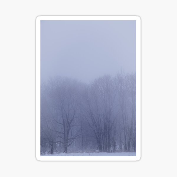 "Silent trees in the haze of winter morning mist" Sticker for Sale by ...