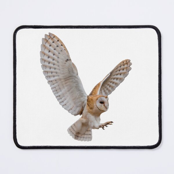 Item preview, Barn Owl Attack designed and sold by Alius Imago.
