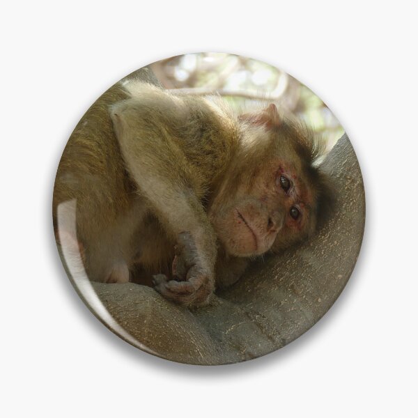Item preview, Monkey - I am sooo tired designed and sold by Birgit Moldenhauer.