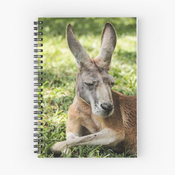 Item preview, Skippy  designed and sold by clphoto-aust.
