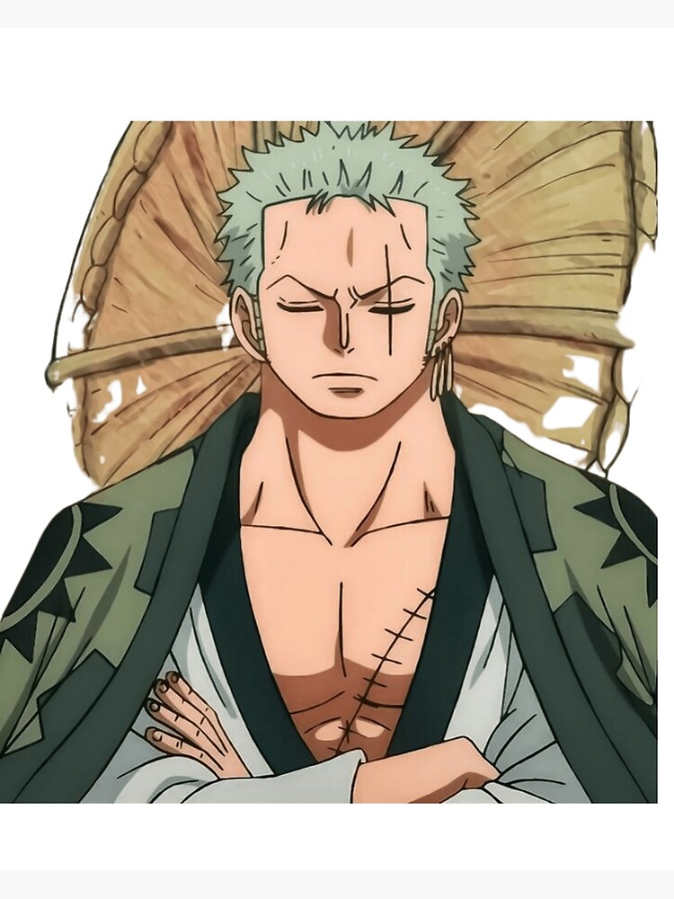 Pin on One piecepinterest.es, zoro enma HD phone wallpaper