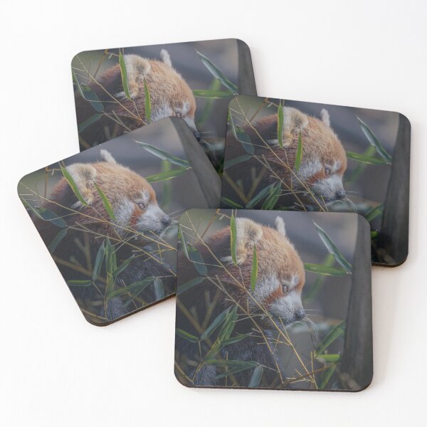 Item preview, Red Panda designed and sold by SHASKAN-WILD.