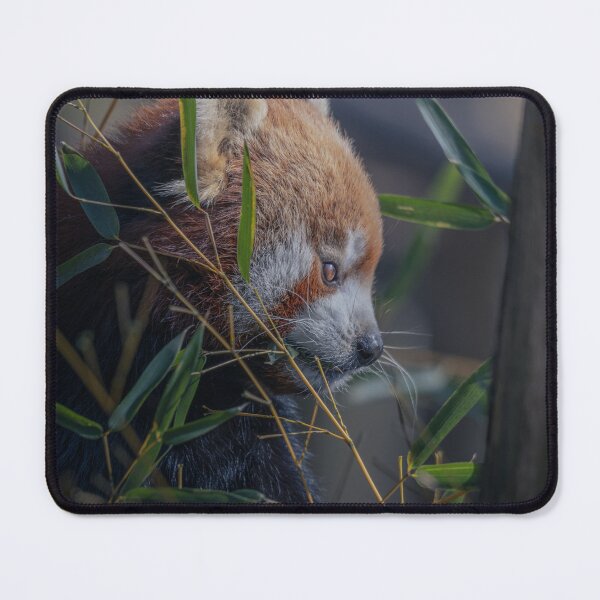 Item preview, Red Panda designed and sold by SHASKAN-WILD.