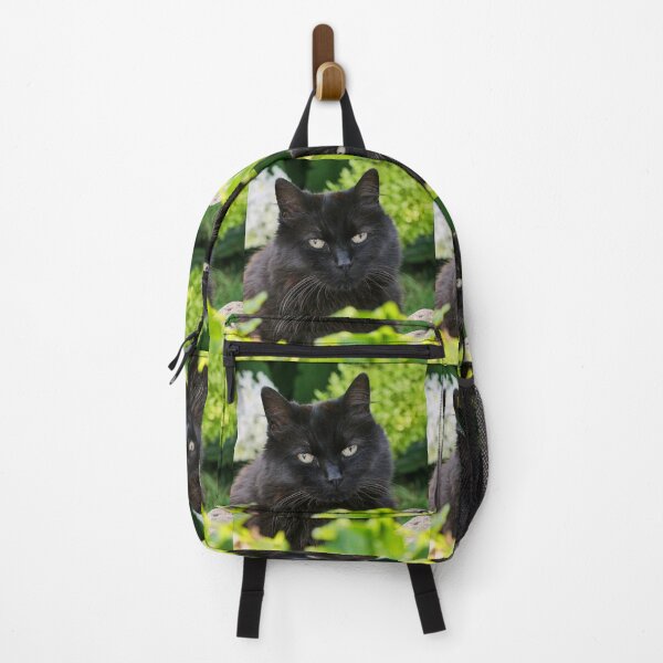 Item preview, r-96/  New finition 2023: " Mes  Adorable Chats " Okaio-Umin  Créations  Olavia-Olao  designed and sold by o.okaïo.