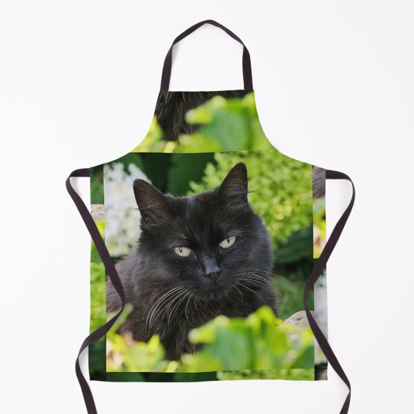 Item preview, r-96/  New finition 2023: " Mes  Adorable Chats " Okaio-Umin  Créations  Olavia-Olao  designed and sold by o.okaïo.