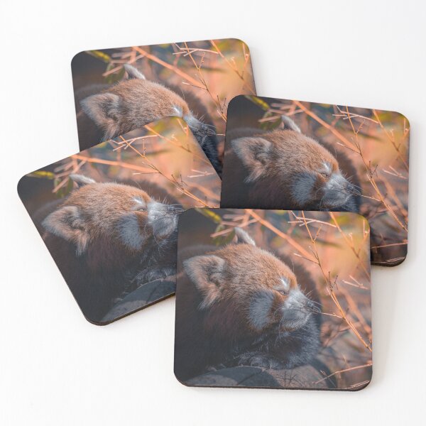 Item preview, Resting Red Panda designed and sold by SHASKAN-WILD.