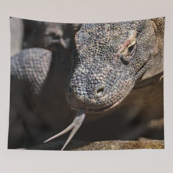 Item preview,  Komodo dragon showing its forked tongue designed and sold by rawshutterbug.