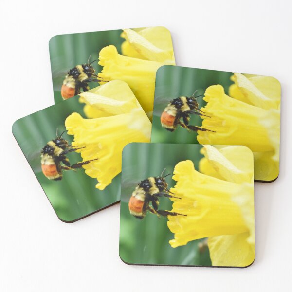 Item preview, A bumblebee on a daffodil designed and sold by Claude Laprise.