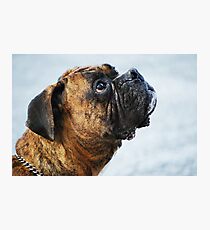 "Whatever you say, boss..." Photographic Print