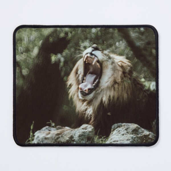 Nature Animal Wildlife: Lion Mouse Pad