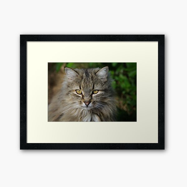 Lucy Framed Art Print