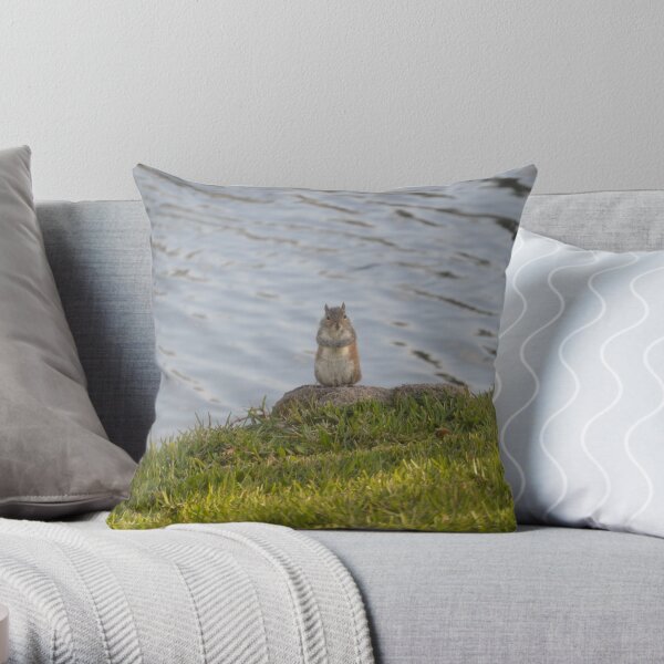 Grey Squirrel Sitting on a Rock by the Water Throw Pillow